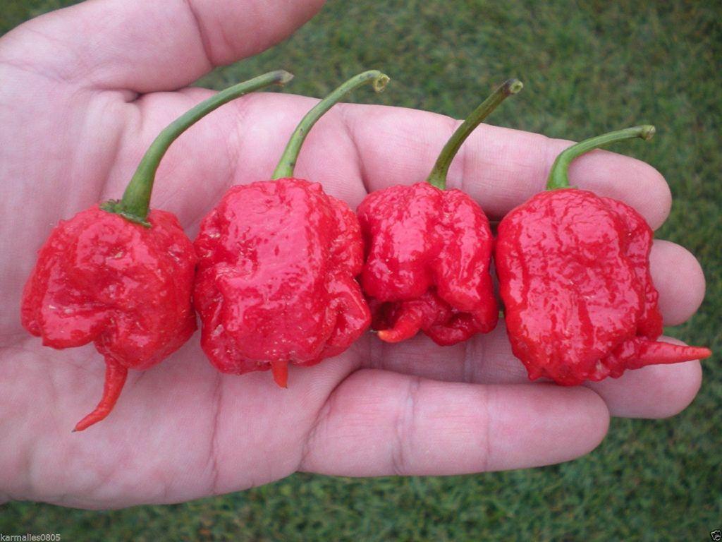 Οι καυτερές πιπεριές προκαλούν και αφόρητο πονοκέφαλο