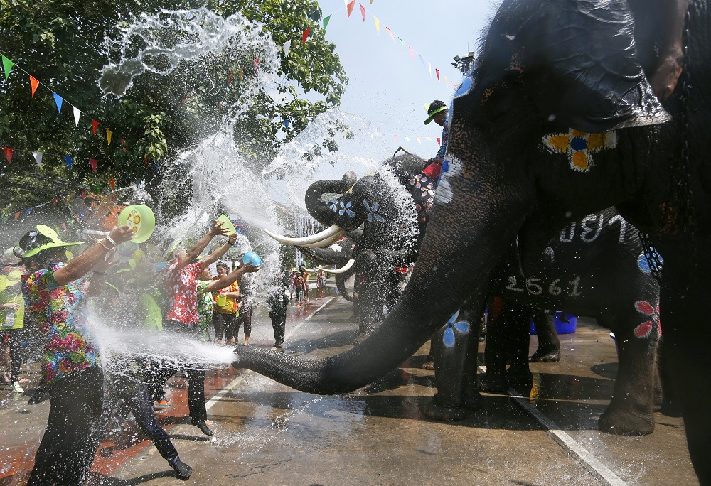 Ελεφαντάκια προαναγγέλλουν το νέο έτος στην Ταϊλάνδη