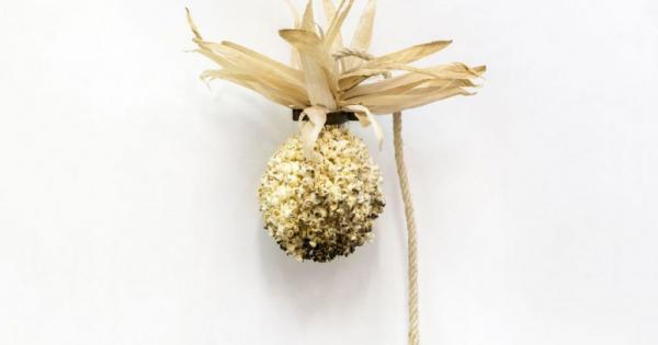 Η ΑΣΚΤ μάς υποδέχεται στα εργαστήριά της