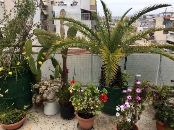 Ο δικός μου, προσωπικός παράδεισος