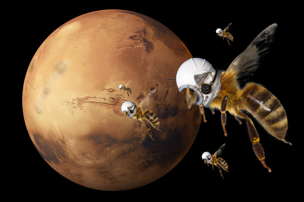 NASA: Με κατασκευή ρομποτικών μελισσών η εξερεύνηση του Άρη