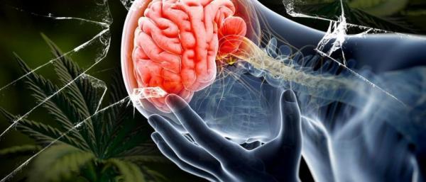 Η διάσειση αυξάνει τον κίνδυνο νόσου Πάρκινσον