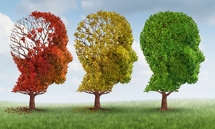 Κίνδυνος άνοιας λόγω τραυματισμού στο κεφάλι