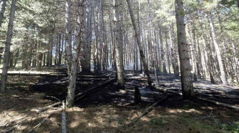 Δεν υπάρχει ενεργό μέτωπο φωτιάς στην Ηλεία