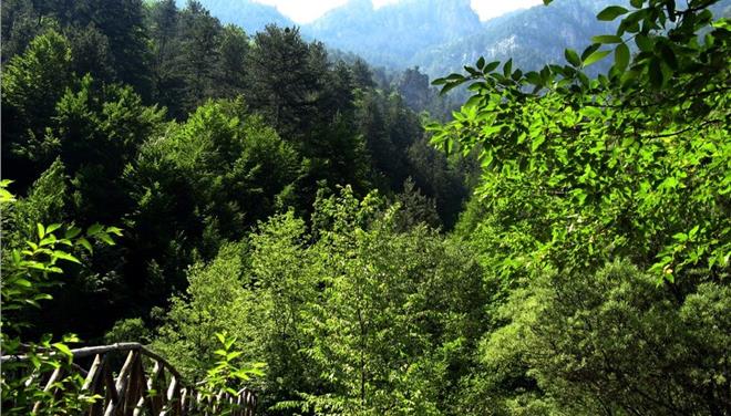 Υστερεί η Ελλάδα στην εφαρμογή νομοθεσίας προστασίας της φύσης