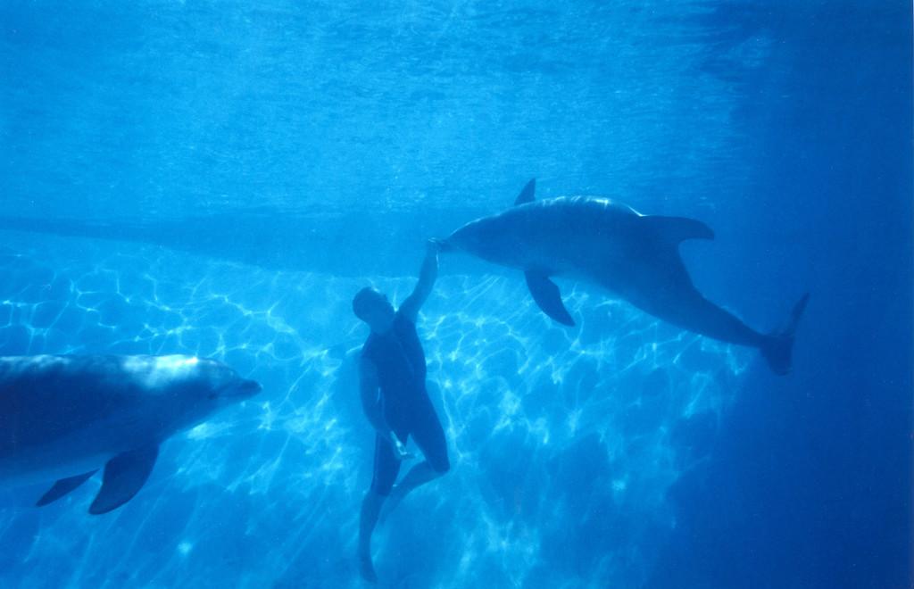 Ταινίες που γυρίστηκαν στην Ελλάδα: Ο Ζορμπάς και ο Μποντ