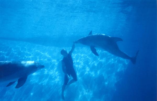 Ταινίες που γυρίστηκαν στην Ελλάδα: Ο Ζορμπάς και ο Μποντ