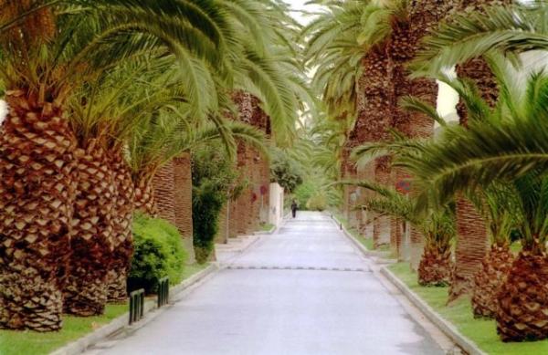 Η Στέγη πάει στο Γεωπονικό Πανεπιστήμιο