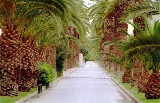 Η Στέγη πάει στο Γεωπονικό Πανεπιστήμιο