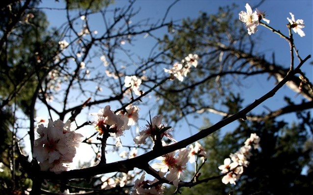 Αίθριος ο καιρός το Σάββατο – Που θα βρέξει