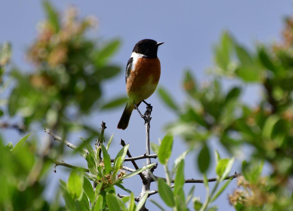 Καλοκαιρινός καιρός σε όλη τη χώρα