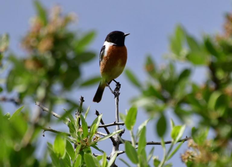 Καλοκαιρινός καιρός σε όλη τη χώρα
