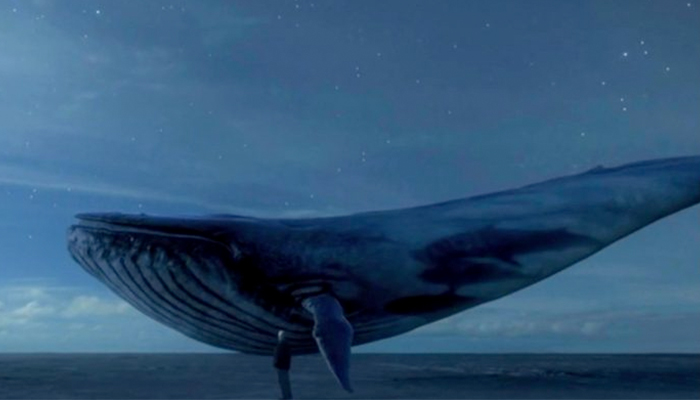 Τη «μπλε φάλαινα» εξετάζουν μετά από απόπειρα 17χρονου από το δεύτερο όροφο