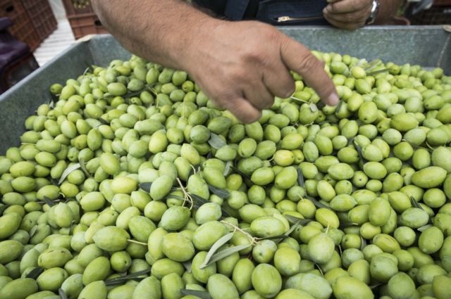 ΟΠΕΚΕΠΕ: Πληρωμές ύψους 4,9 εκατ. ευρώ