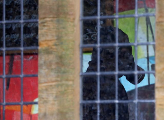 Τα κατοικίδια του Σκριπάλ αναζητά η Ρωσία