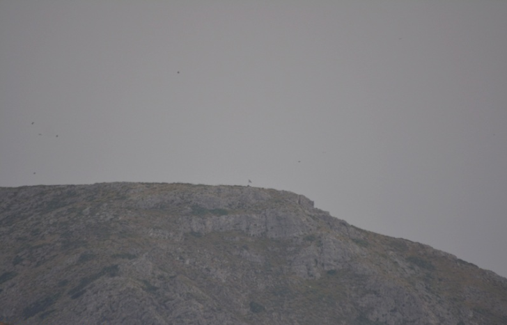 Η ελληνική σημαία εξακολουθεί να κυματίζει στη νησίδα Ανθρωποφάς [βίντεο]