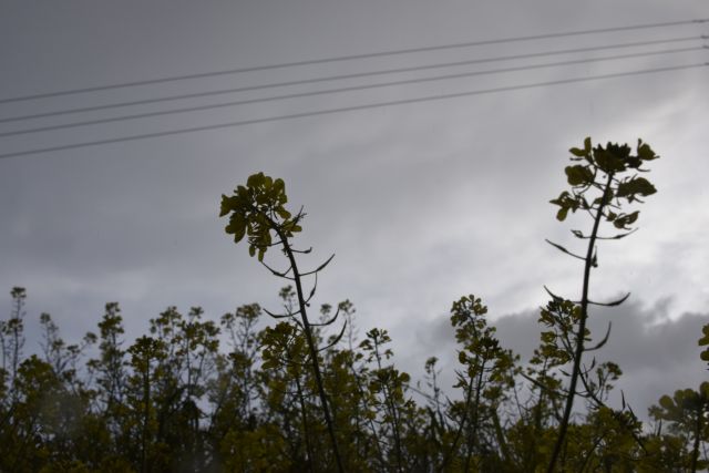 Άστατος ο καιρός την Τετάρτη: Σε ποιες περιοχές θα βρέξει