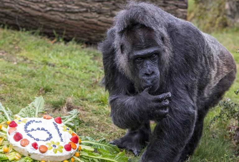 Η Φατού έγινε 61 και το γιορτάζει