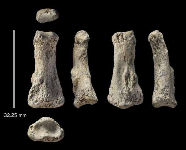 Ανακαλύφθηκε απολίθωμα του Homo sapiens ηλικίας 90.000 ετών στη Σ.Αραβία