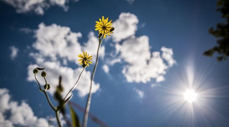 Σε άνοδο η θερμοκρασία την Τρίτη