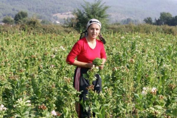 Η θέση της γυναίκας στον αγροτικό τομέα και πώς μπορεί να βελτιωθεί