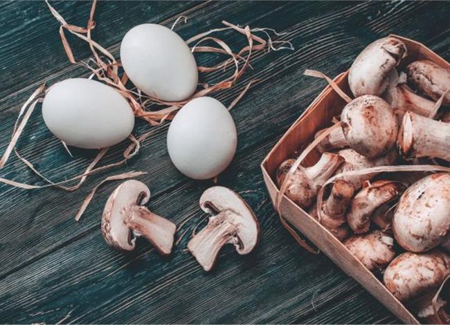 Πρωτεΐνες, οι μαγικοί σύμμαχοι στη δίαιτα