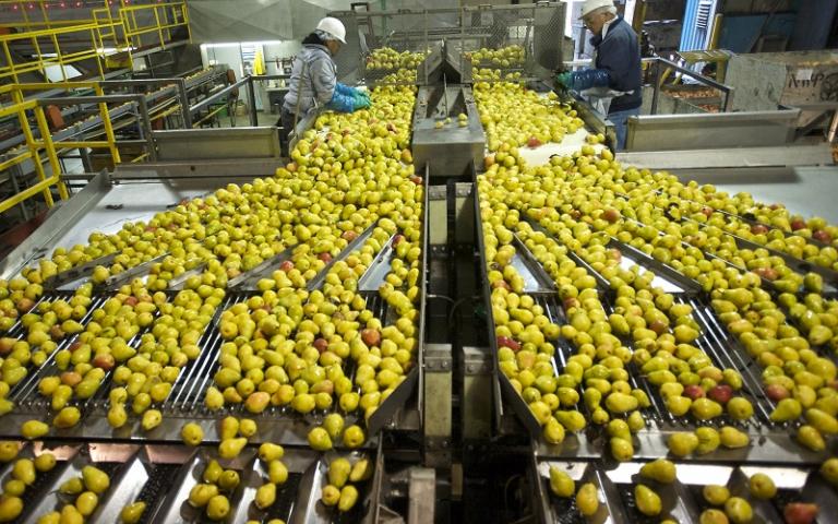 Ξεκινά η αξιολόγηση των φακέλων της μεταποίησης