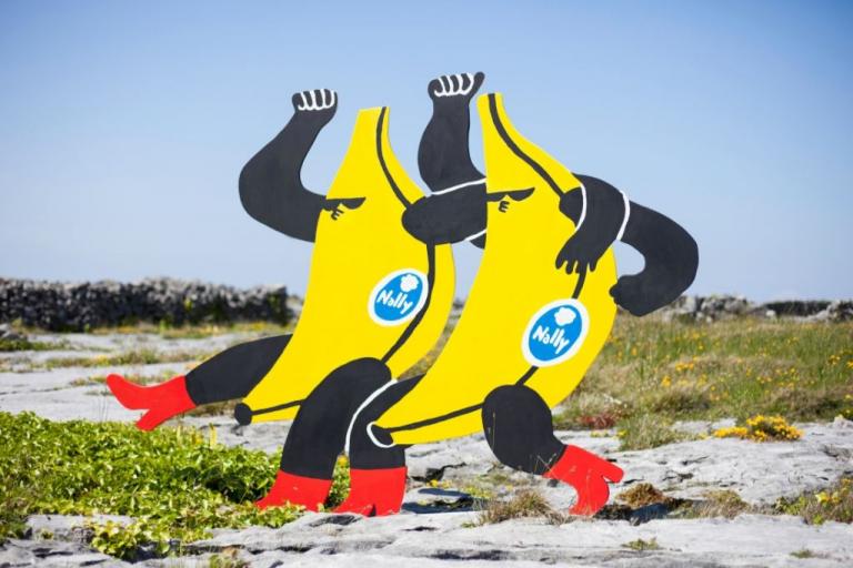 Οι πολύχρωμοι νέοι κάτοικοι των νησιών Άραν