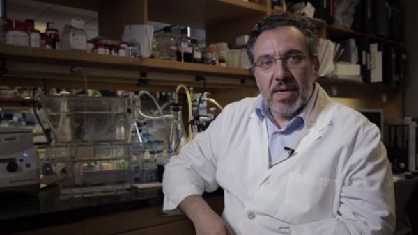 Όθων Ηλιόπουλος: Υγεία και παιδεία με γνώμονα το συμφέρον των πολλών