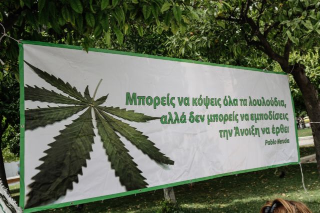 «Ναι» στην αποποινικοποίηση της κάνναβης