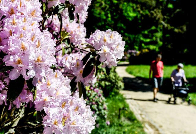 Άνοιξη στην ανθισμένη Γερμανία