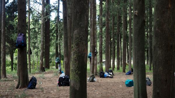 «Η Ακρόπολη στο βυθό» έως τις 11 Ιουνίου στην ΑΣΚΤ