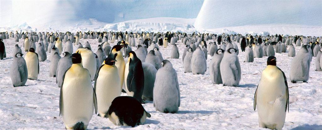 Καλοκαιρινός προορισμός….Ανταρκτική!