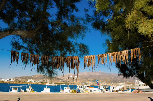 Αντίπαρος, μια ανάσα από την Πάρο