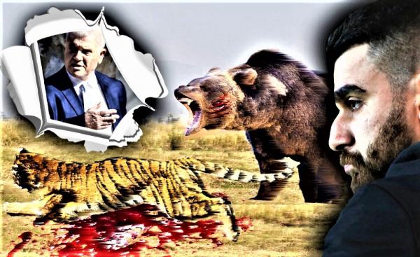 Ανάρτηση Γ. Σαββίδη με πληγωμένη Τίγρη!