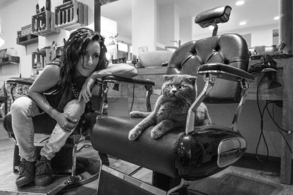 Γάτες: φίλοι και συνάδελφοι