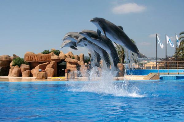 Είναι ευτυχισμένα τα δελφίνια σε συνθήκες αιχμαλωσίας;