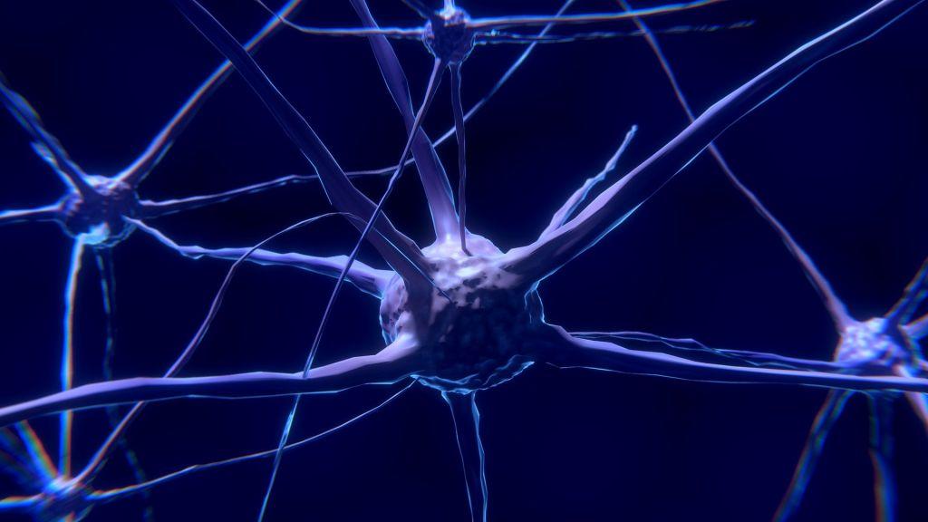 Έλληνα αποκωδικοποίησε νευρικά σήματα του ανοσοποιητικού προς τον εγκέφαλο