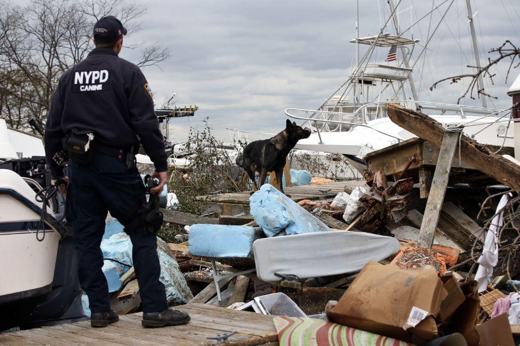 Μικρή ηλεκτρονική συσκευή εντοπίζει ανθρώπους με την οσμή
