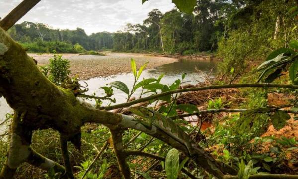 Απροστάτευτες πολλές προστατευόμενες περιοχές της Γης