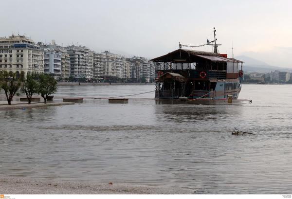 Ζημιά 200.000 ευρώ για τους εκθέτες της Ανθοέκθεσης στη ΔΕΘ