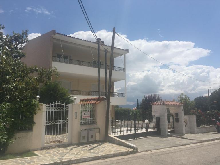 Έγκλημα στους Θρακομακεδόνες: 79χρονος σκότωσε τη σύζυγό του