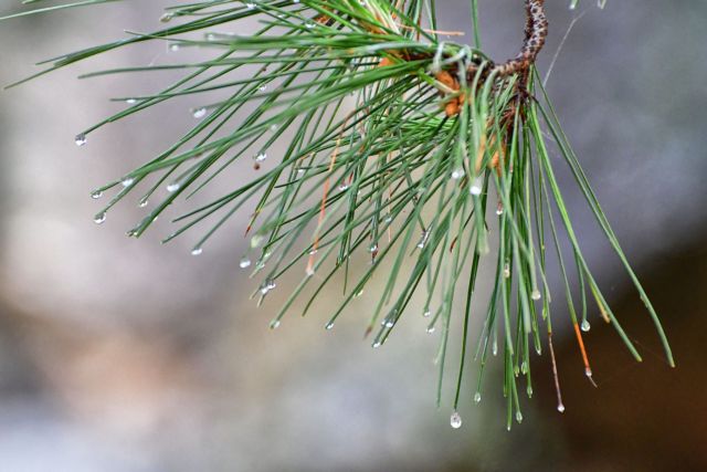 Άστατος καιρός και την Τρίτη – Που θα βρέξει