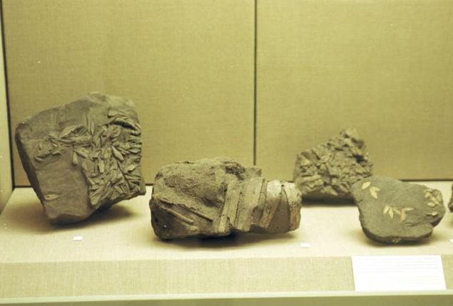 Εξιχνιάστηκε υπόθεση κλοπής στο Μουσείο της Σαντορίνης