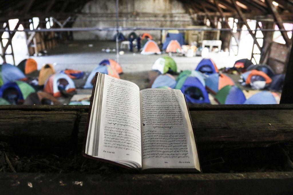 Κοινή πατρίδα