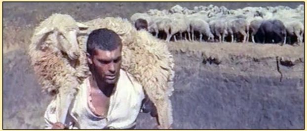 Εμίλ Λοτεάνου: ακούραστος μελετητής του πολιτισμού των Τσιγγάνων