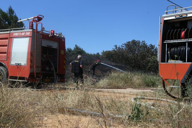 Σε 962 προσλήψεις εποχικών πυροσβεστών προχωρά η Πυροσβεστική | in.gr