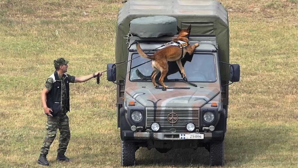 Οι σκύλοι ... κομάντος του ελληνικού Στρατού σε άσκηση