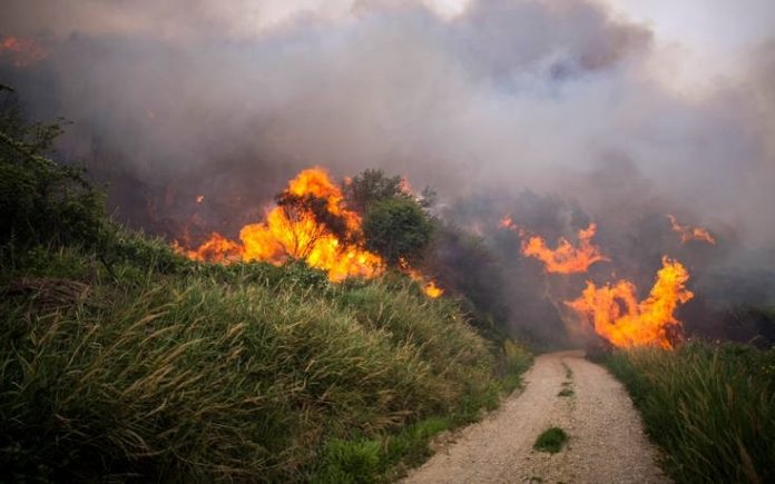 Υπό μερικό έλεγχο η φωτιά στην Αλεξανδρούπολη