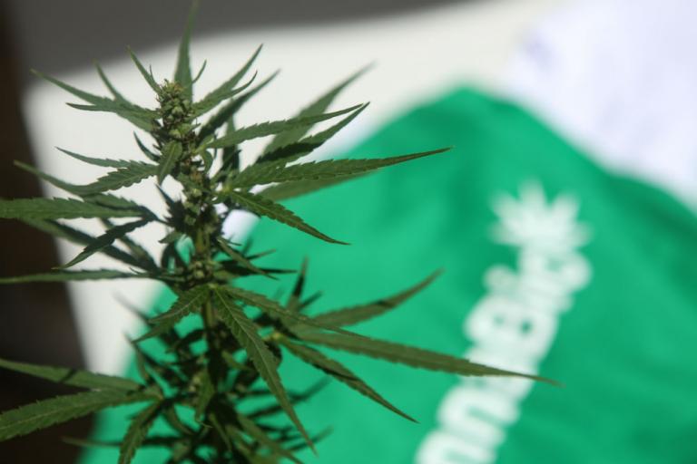 Ξεκίνησε η έκθεση BALKANNABIS EXPO 2018 στην «Τεχνόπολις»